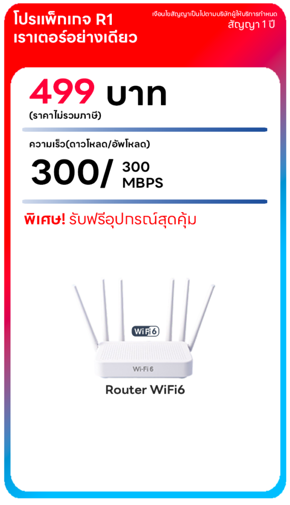 ติดตั้งเน็ตบ้าน